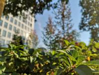 Imagine atasata: Openville - 2018.10.13 - 02.jpg